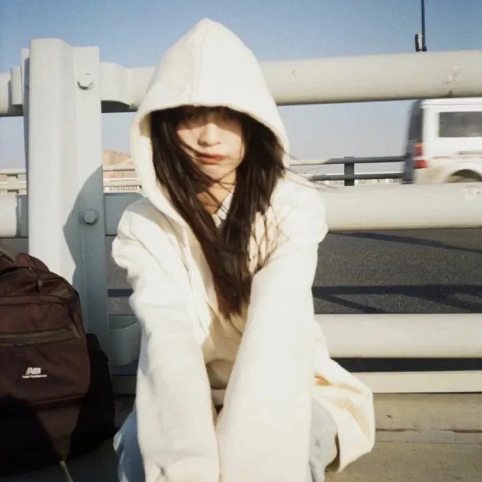 坚忍号：沙克尔顿的传奇南极远征